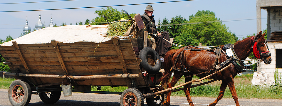 Paard en wagen